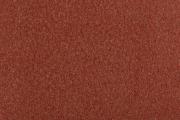 Ter Molst-Fawn-52210