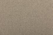 Ter Molst-Fawn-58004