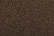 Ter Molst-Fawn-58209
