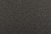 Ter Molst-Fawn-58223
