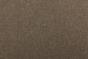 Ter Molst-Fawn-58707