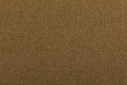 Ter Molst-Fawn-58713