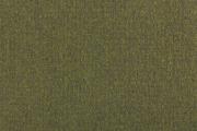 Ter Molst-Fawn-58714