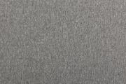Ter Molst-Fawn-58721