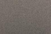 Ter Molst-Fawn-58722