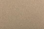 Ter Molst-Fawn-59105