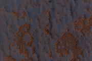 Ter Molst-Moss-3871175-Fresco