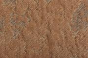 Ter Molst-Moss-3881195-Rustic