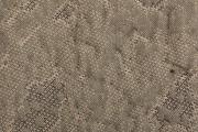 Ter Molst-Moss-3921284-Dust