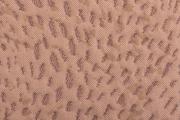 Ter Molst-Swirl-3791218-Rococo