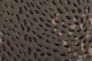 Ter Molst-Swirl-3841009-Cinder
