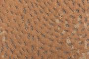 Ter Molst-Swirl-3881195-Rustic