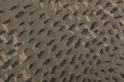 Ter Molst-Swirl-3921284-Dust